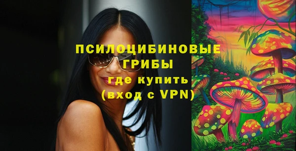 спайс Алексин
