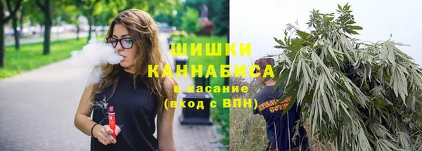 PSILOCYBIN Алзамай