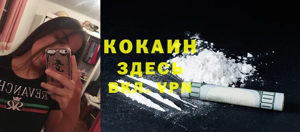 спайс Алексин